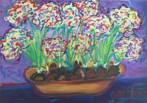 Bulbs in Bloom